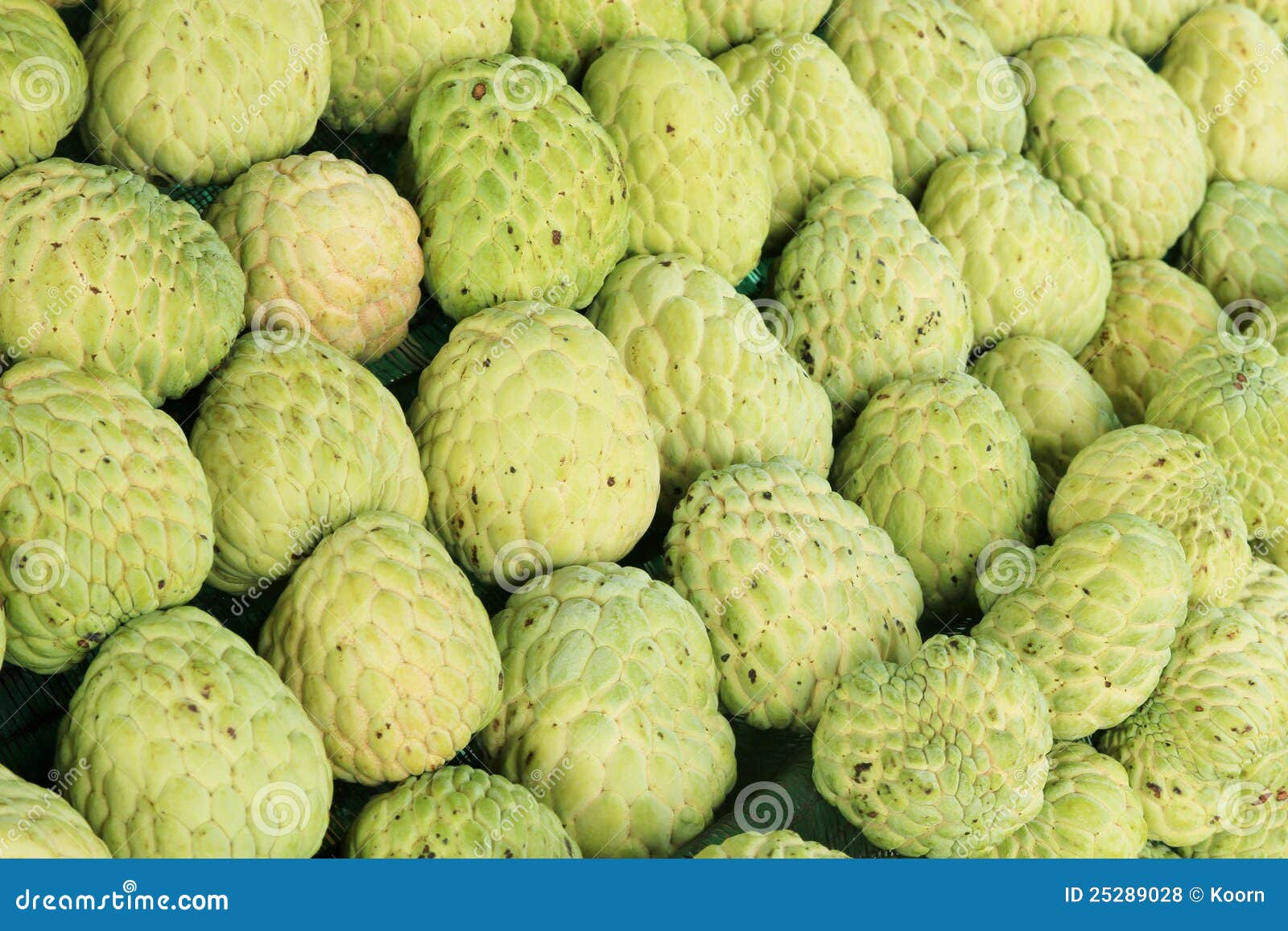 Green sugar apple stock photo. Image of produce, delicious 25289028