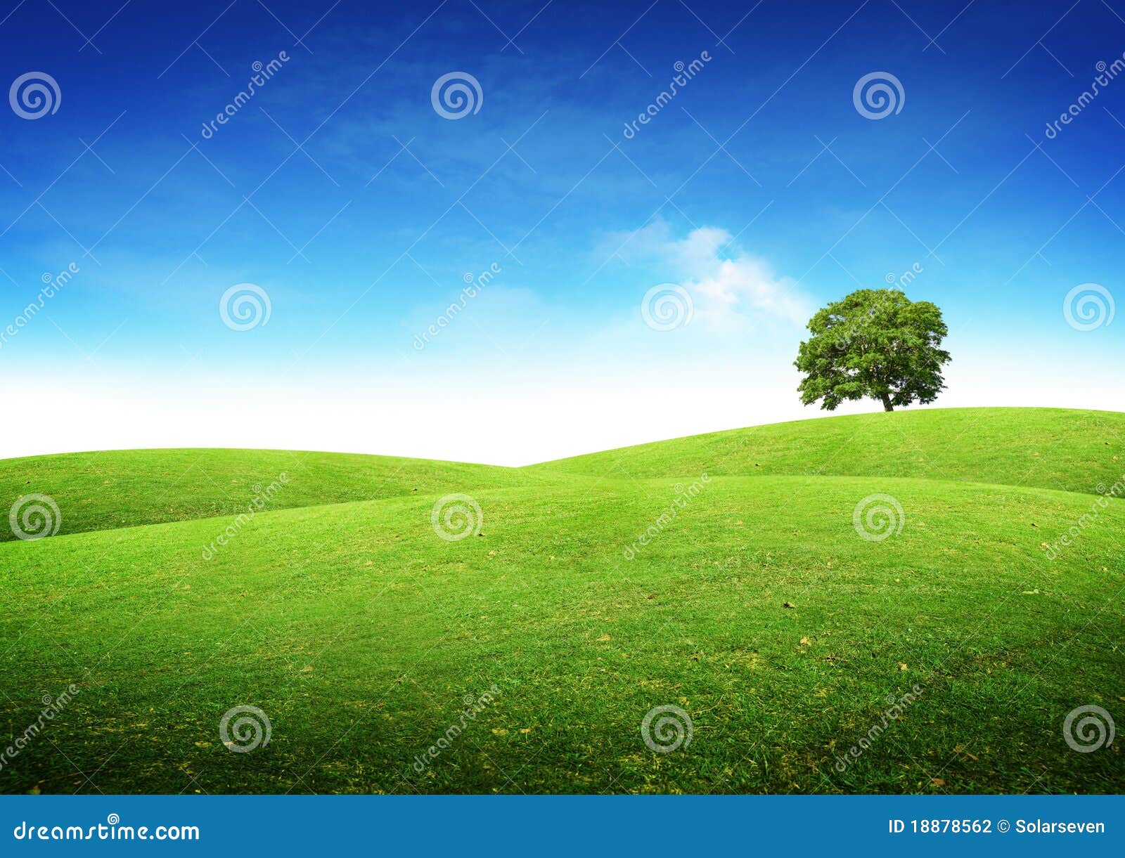 Green Summer Landscape stock photo. Image of rolling - 18878562