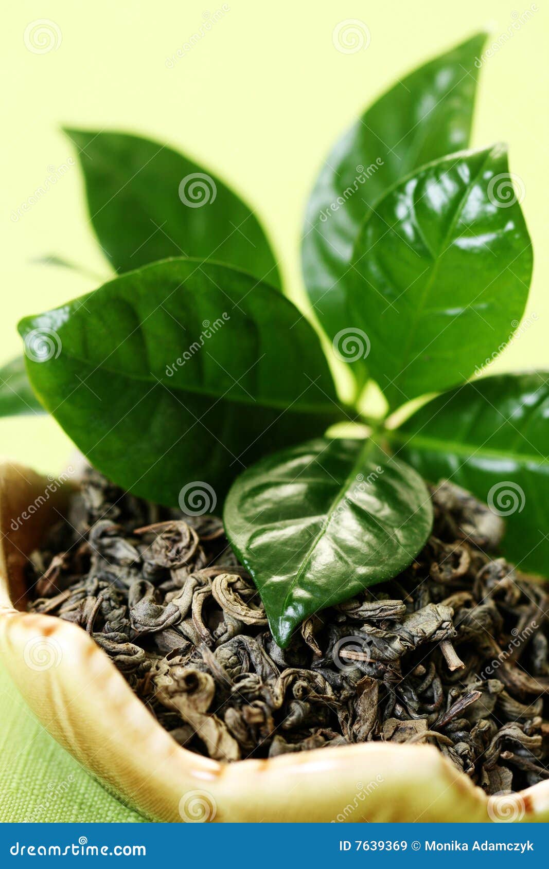 Green tea stock image. Image of crop, nutritional, care 7639369