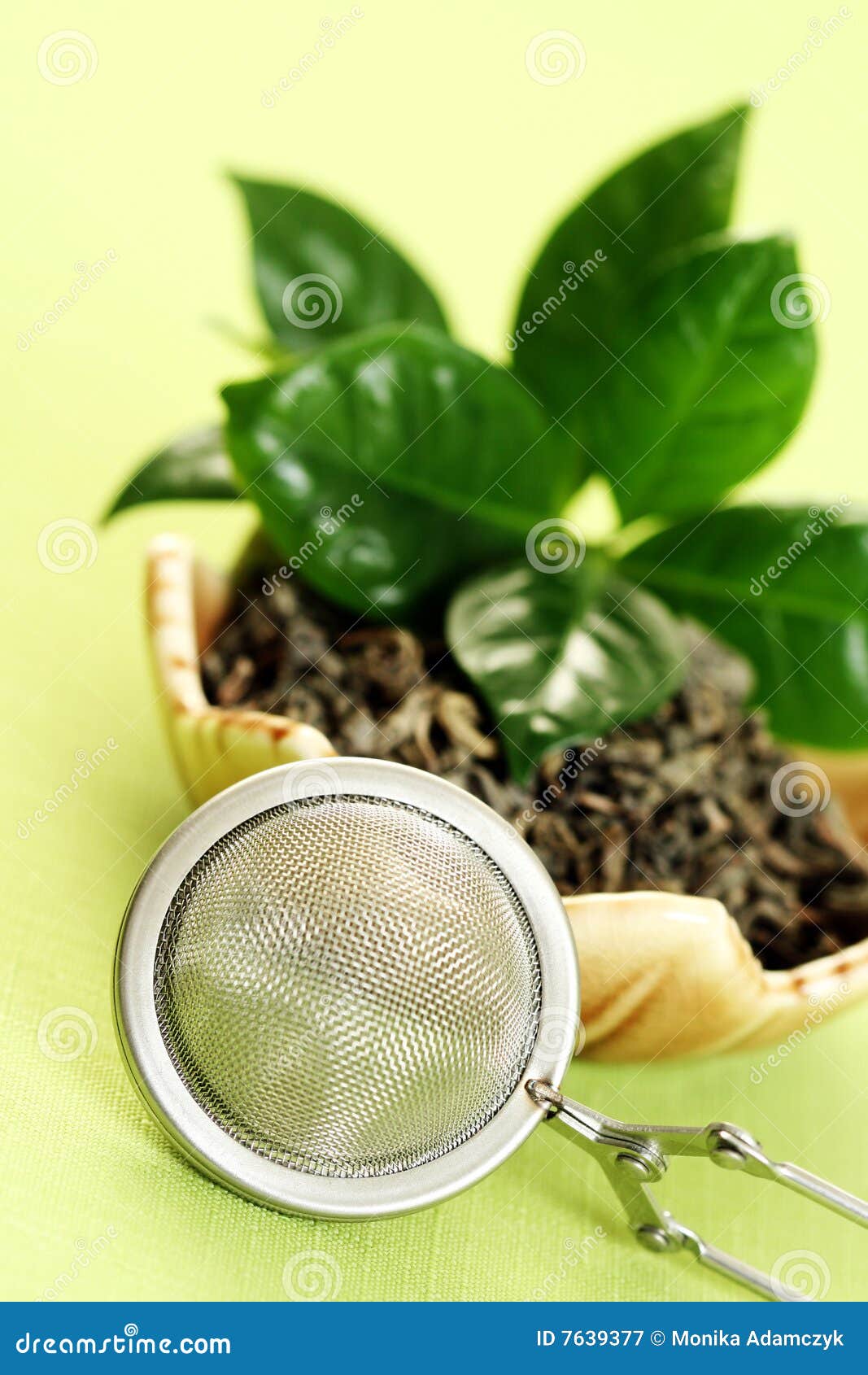 Green tea stock image. Image of medicine, nutritional 7639377