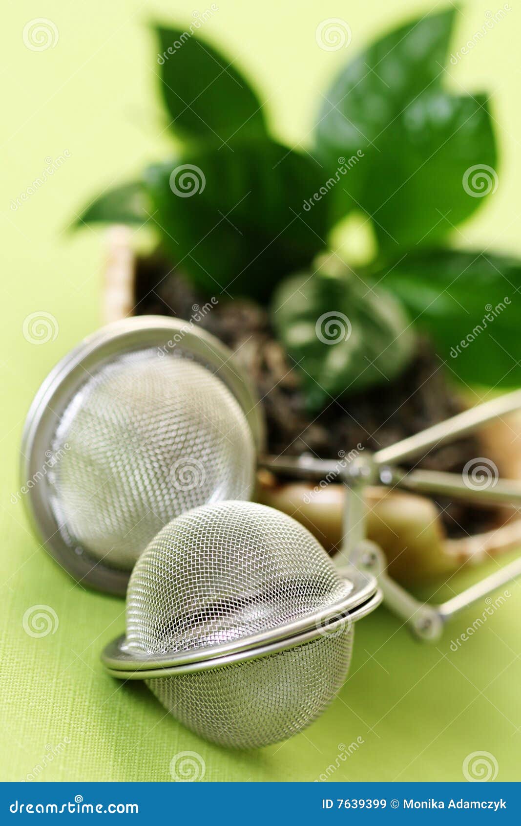Green tea stock image. Image of health, infuser, medicine 7639399