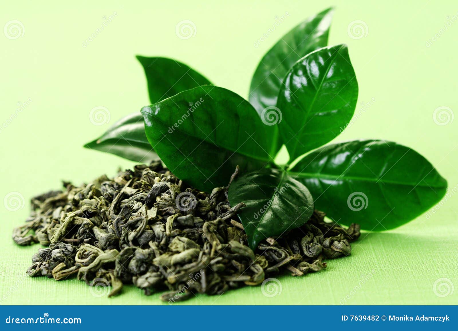 Green tea stock photo. Image of organic, leaves, green 7639482