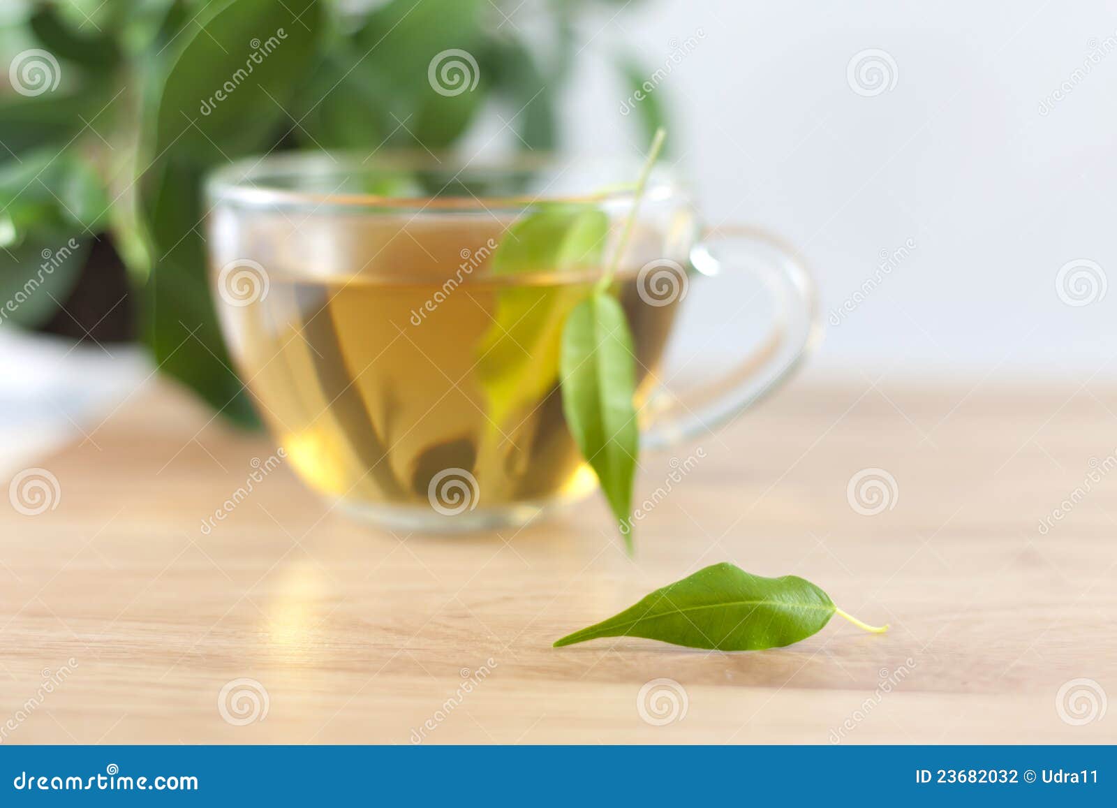 Green Tea Abstract Background Stock Photo - Image of abstract, fresh ...