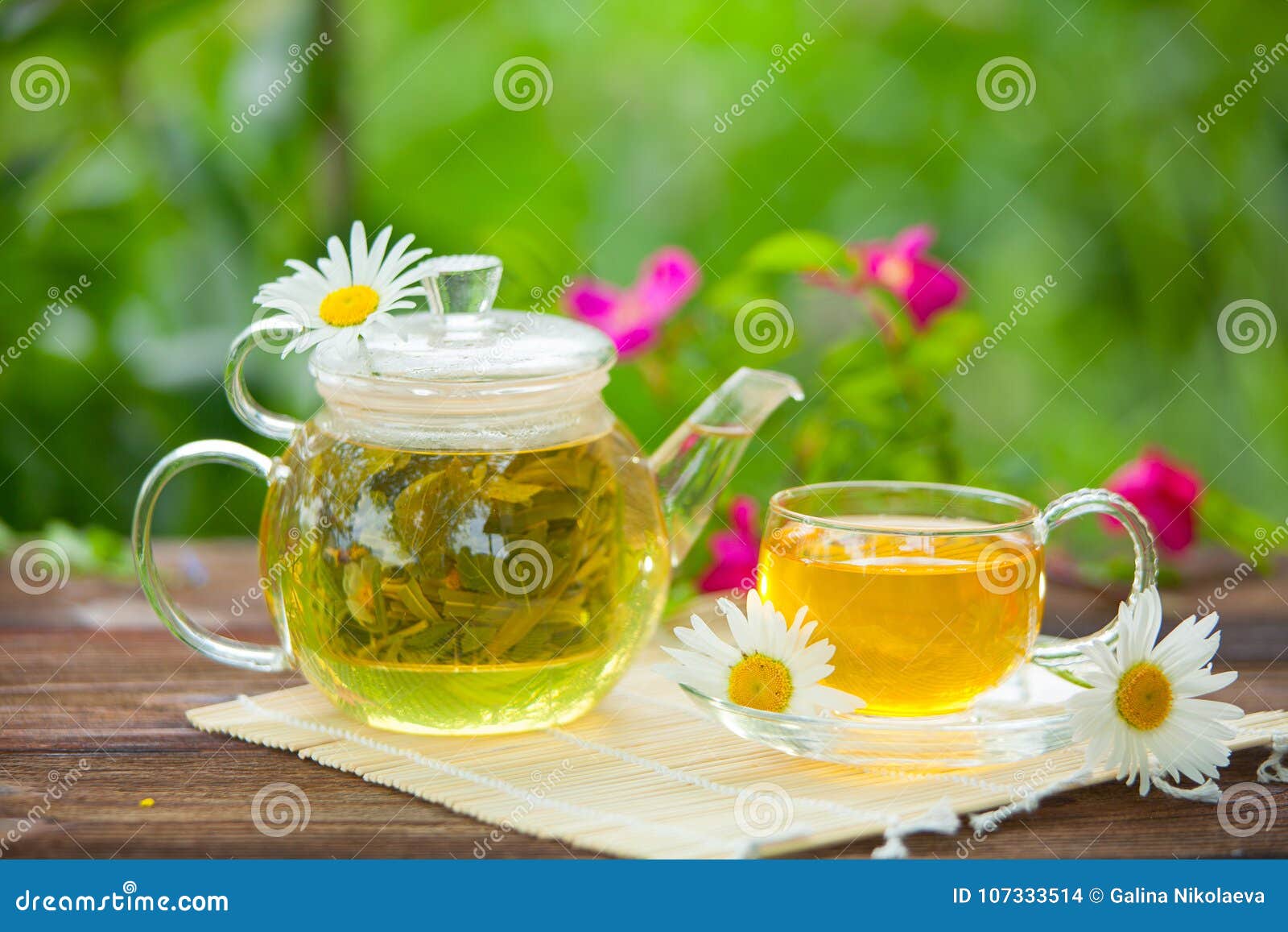 Green Tea with Chamomile in Cup Stock Photo Image of infusions