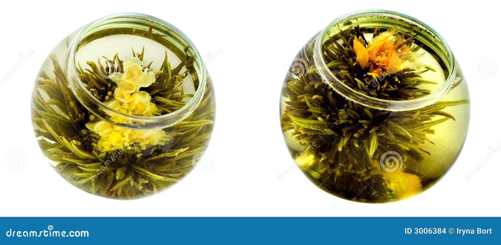 Green Tea with Chrysanthemums Stock Photo Image of leaf, therapy 3006384