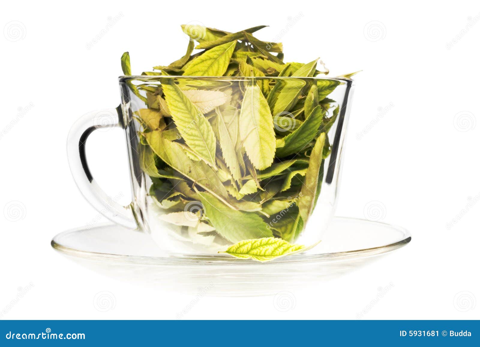 green tea freshness