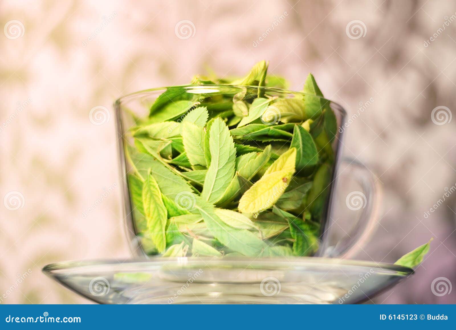 green tea freshness