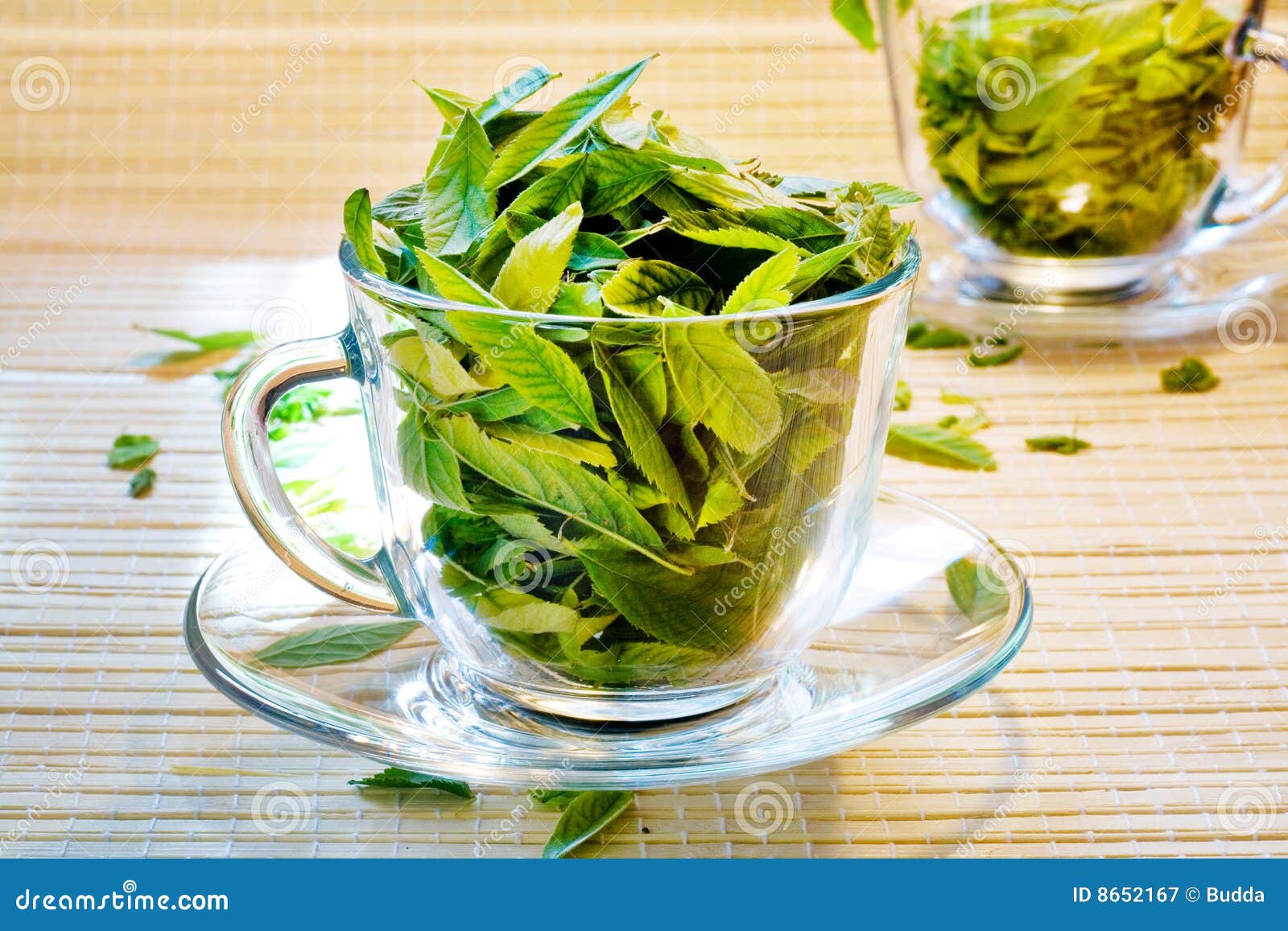 green tea freshness