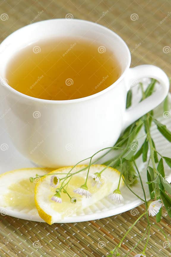Green Tea with Herbs stock image. Image of herb, warm 1291105