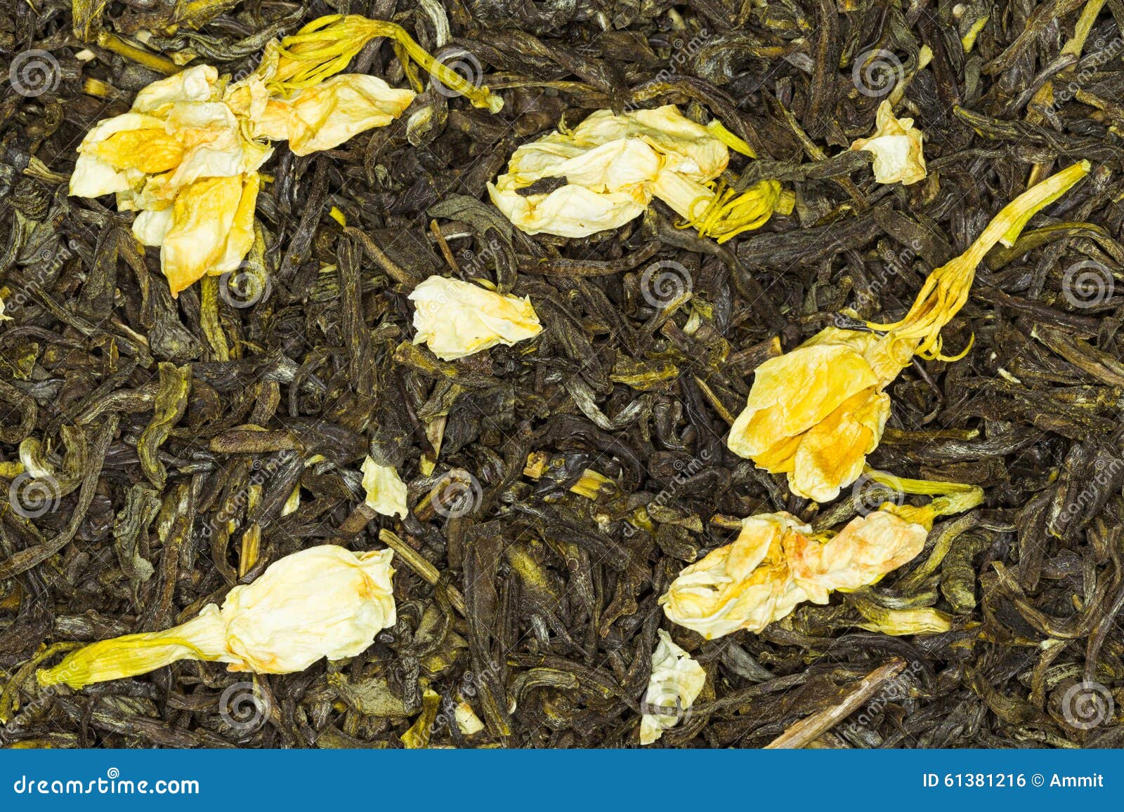 Green Tea with Jasmine Flowers Stock Photo Image of medicine, ounce