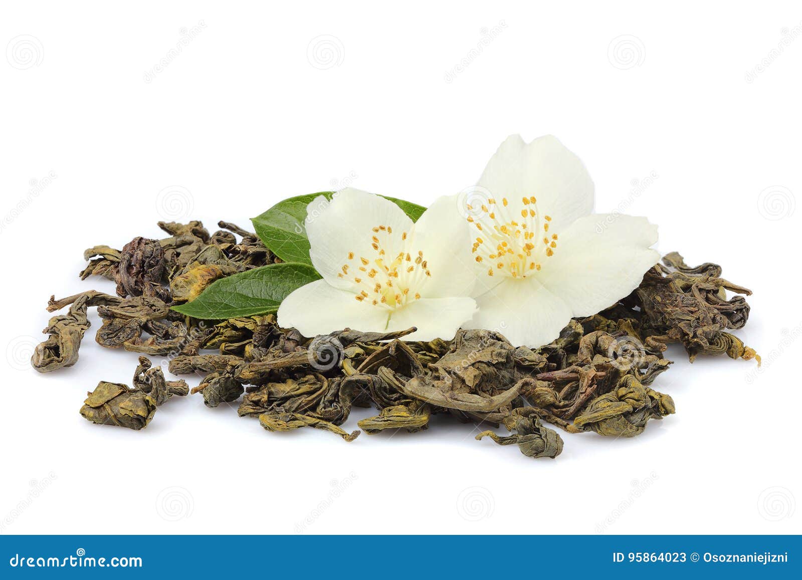 Green Tea with Jasmine Flowers. Stock Image Image of blossom