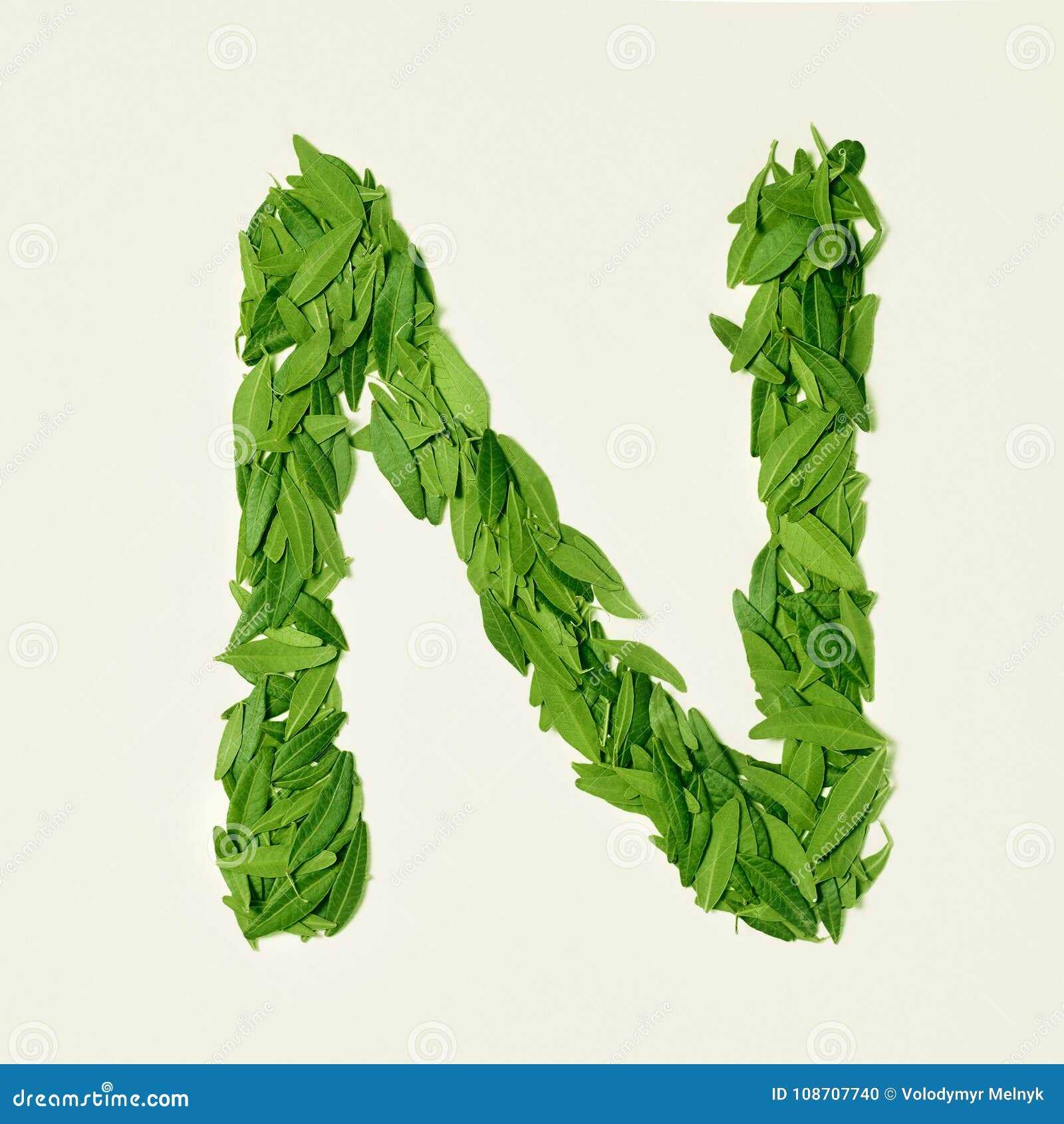 the green dry tea leaf, letter n on white background, top view
