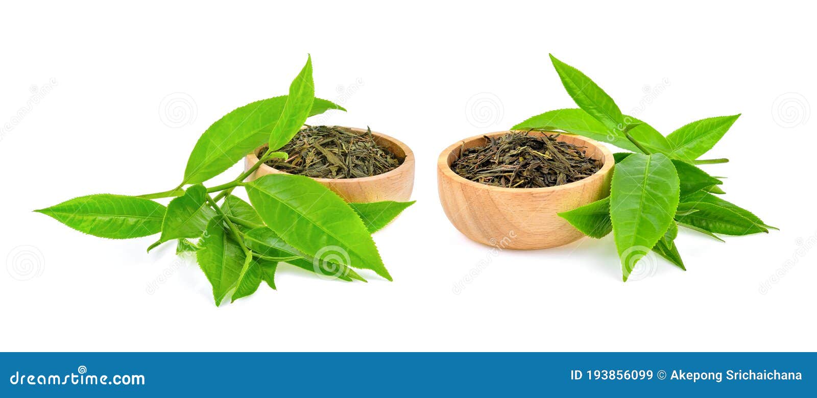 Green Tea Leaves with Dried Tea Leaves Isolated on White Background