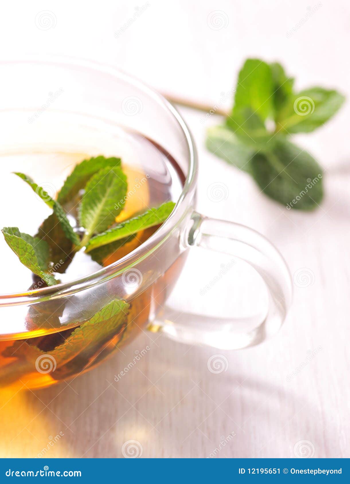 Green tea with mint stock image. Image of mint, liquid 12195651