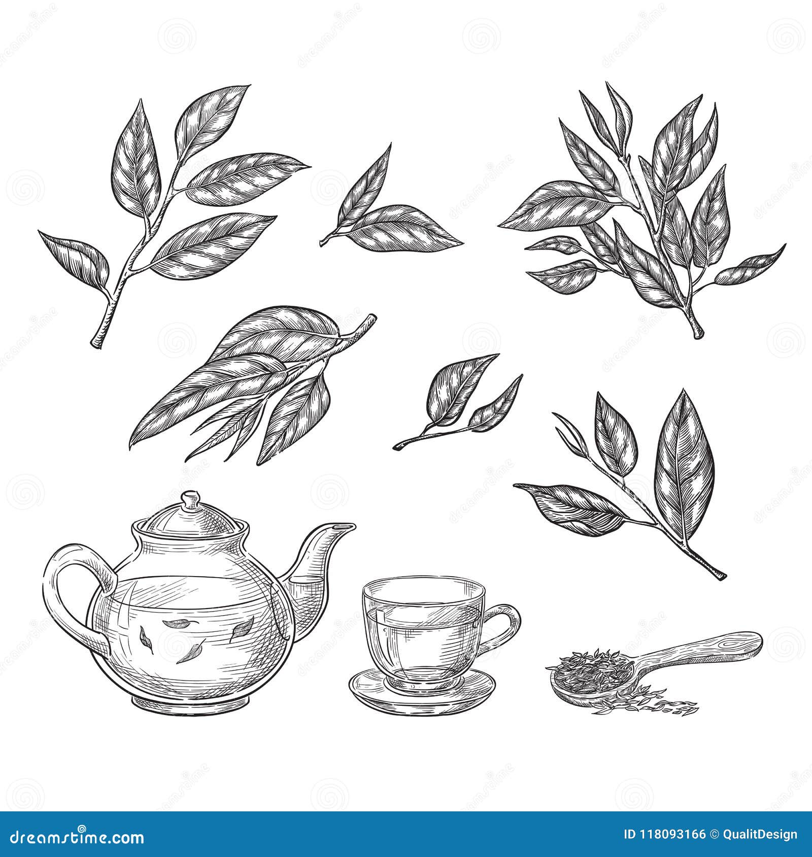 Green Tea Sketch Vector Illustration. Leaves, Teapot and Cup Hand Drawn