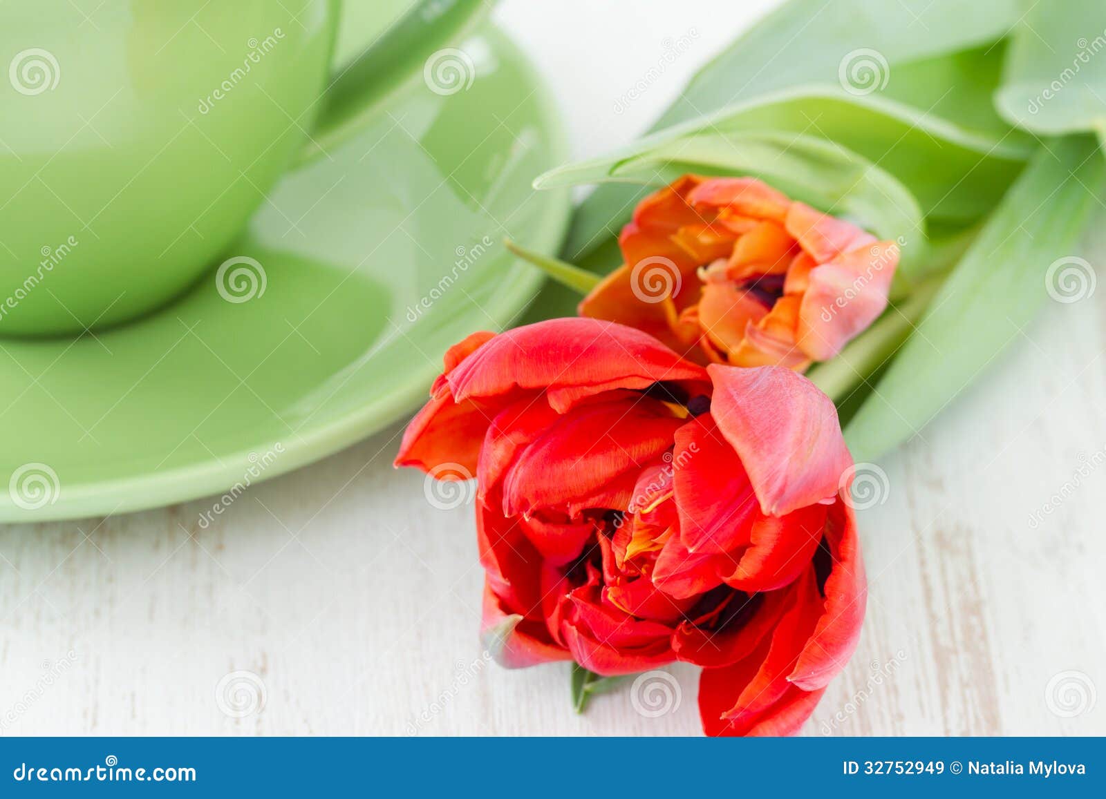Green teacup with tulips stock image. Image of teacup 32752949