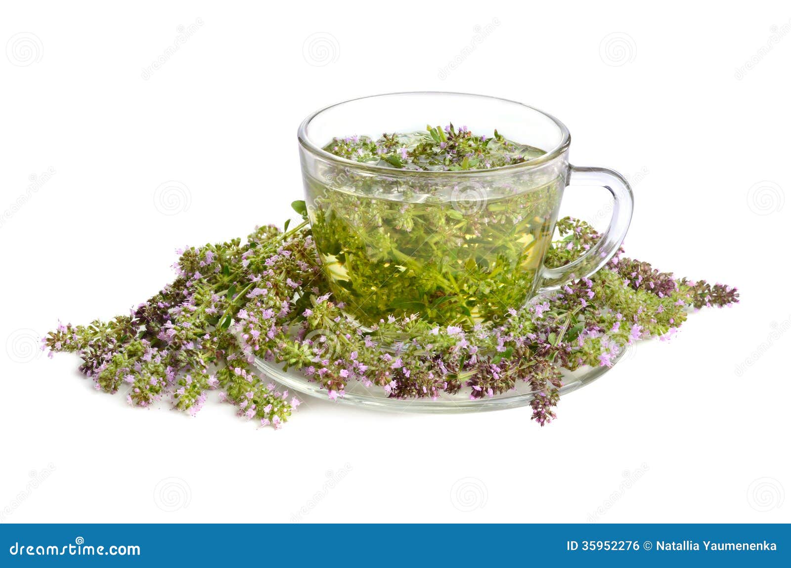 Green thyme tea stock photo. Image of saucer, grass, healthy 35952276