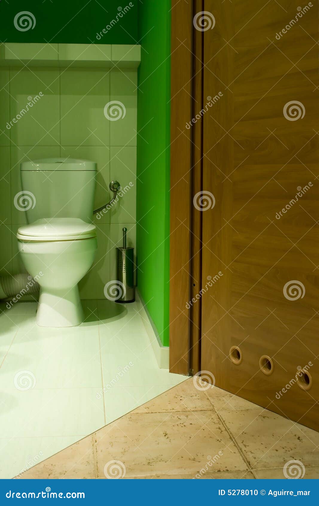 Green toilet stock photo. Image of excrement, plumbing 5278010