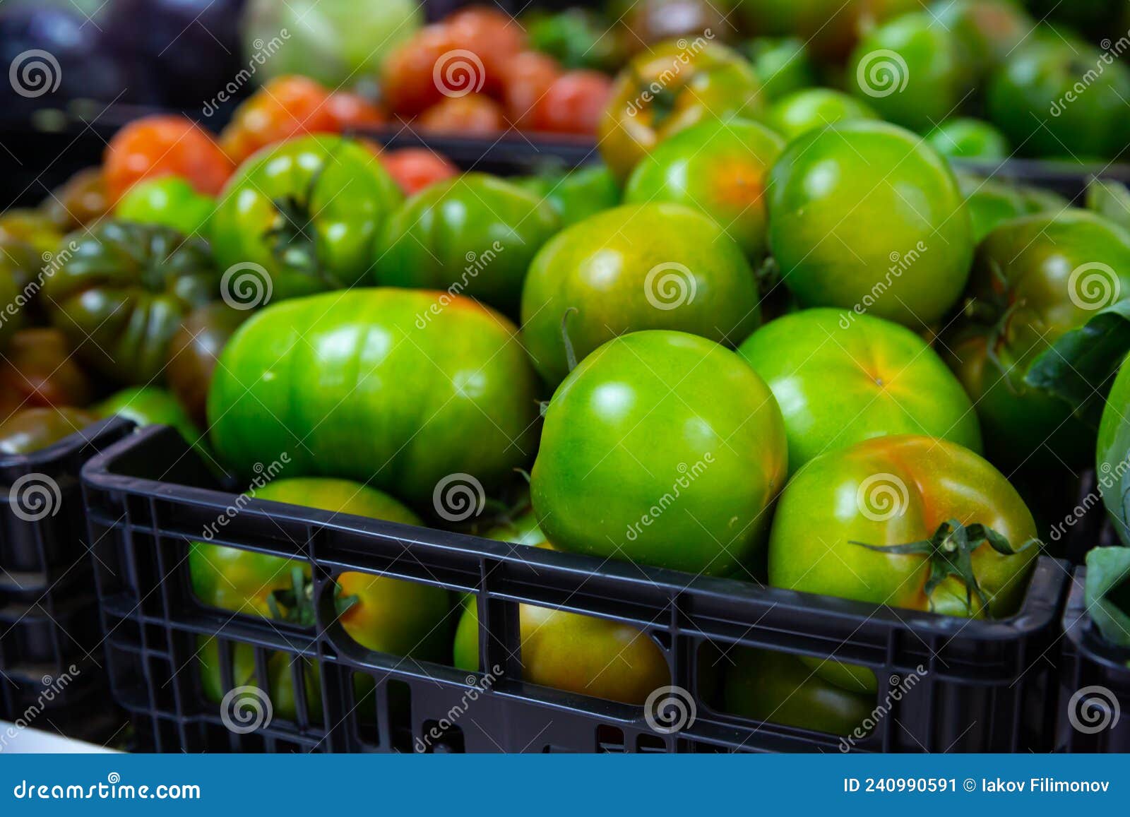 Green Tomatoes in Boxes on Counter at Store Stock Image Image of larges, market 240990591