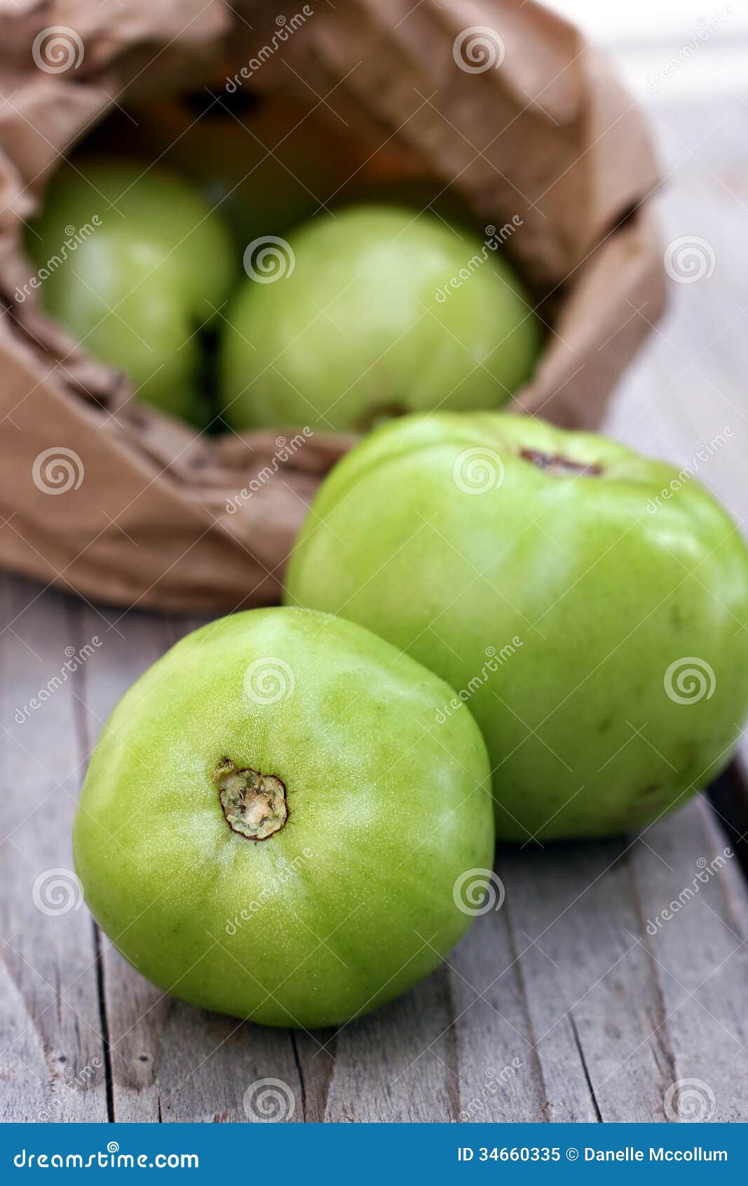 Green Tomatoes stock image. Image of garden, health, food 34660335