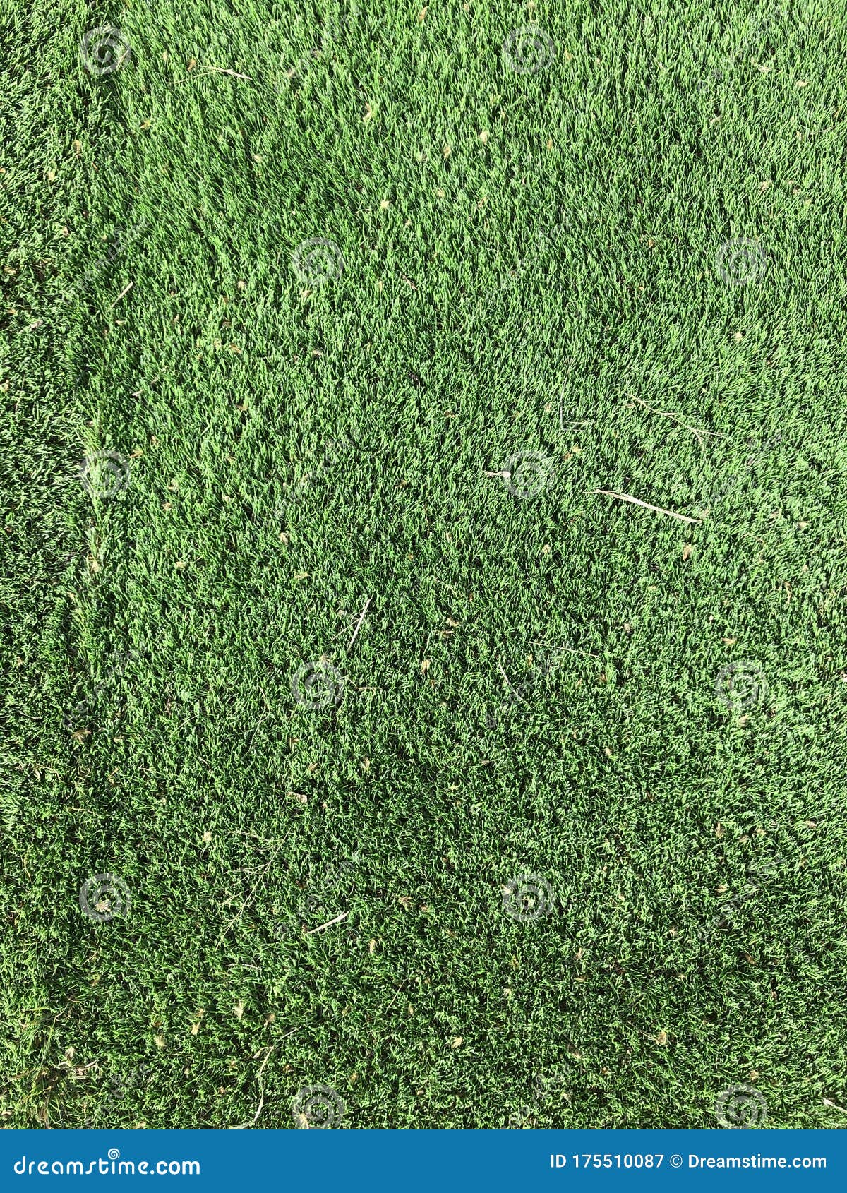 green tones artificial grass texture