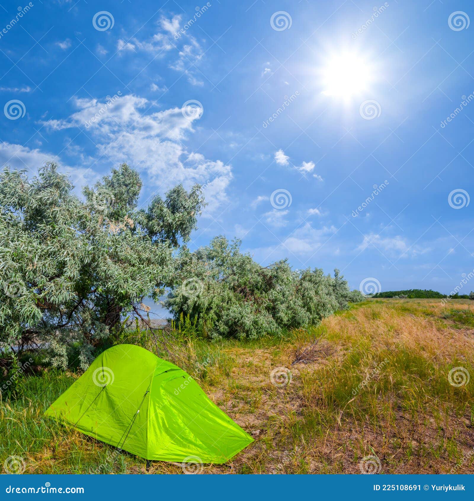 green touristc tent stay on forest glade under a sparkle sun