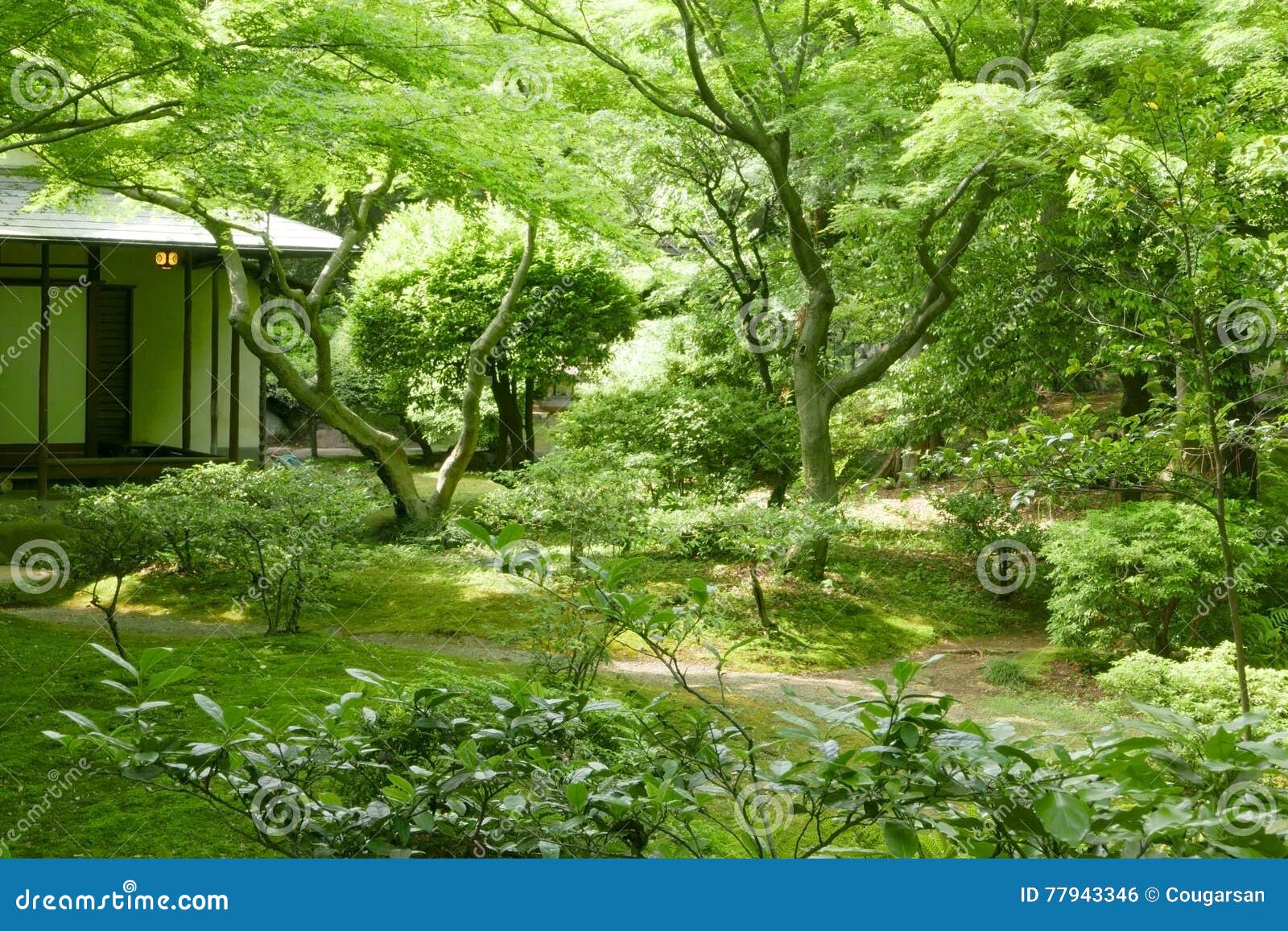 322 Backyard House Japanese Traditional Tree Stock Photos - Free \u0026  Royalty-Free Stock Photos from Dreamstime, image size:1600x1157