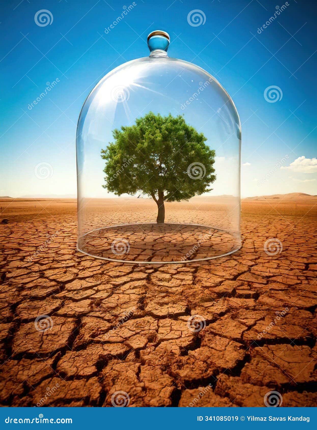 green tree inside glass dome on desert background. environmental protection concept.