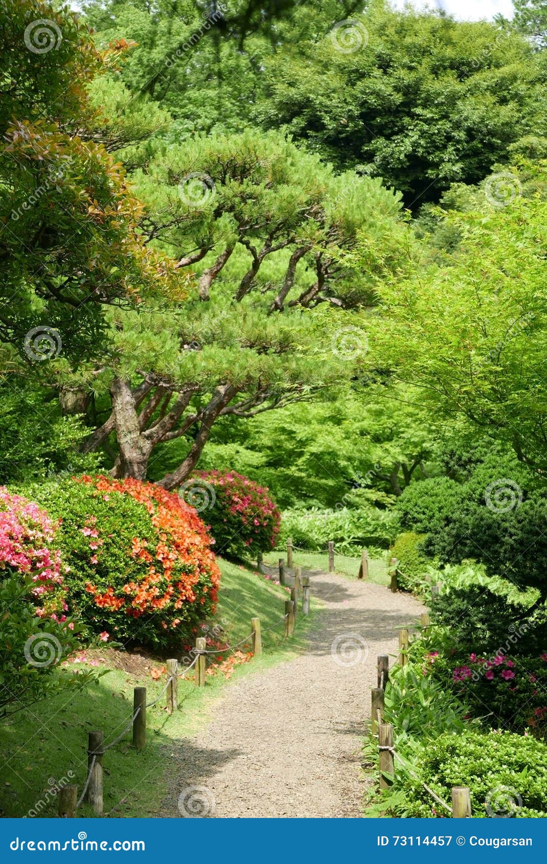 zen garden plants and trees
