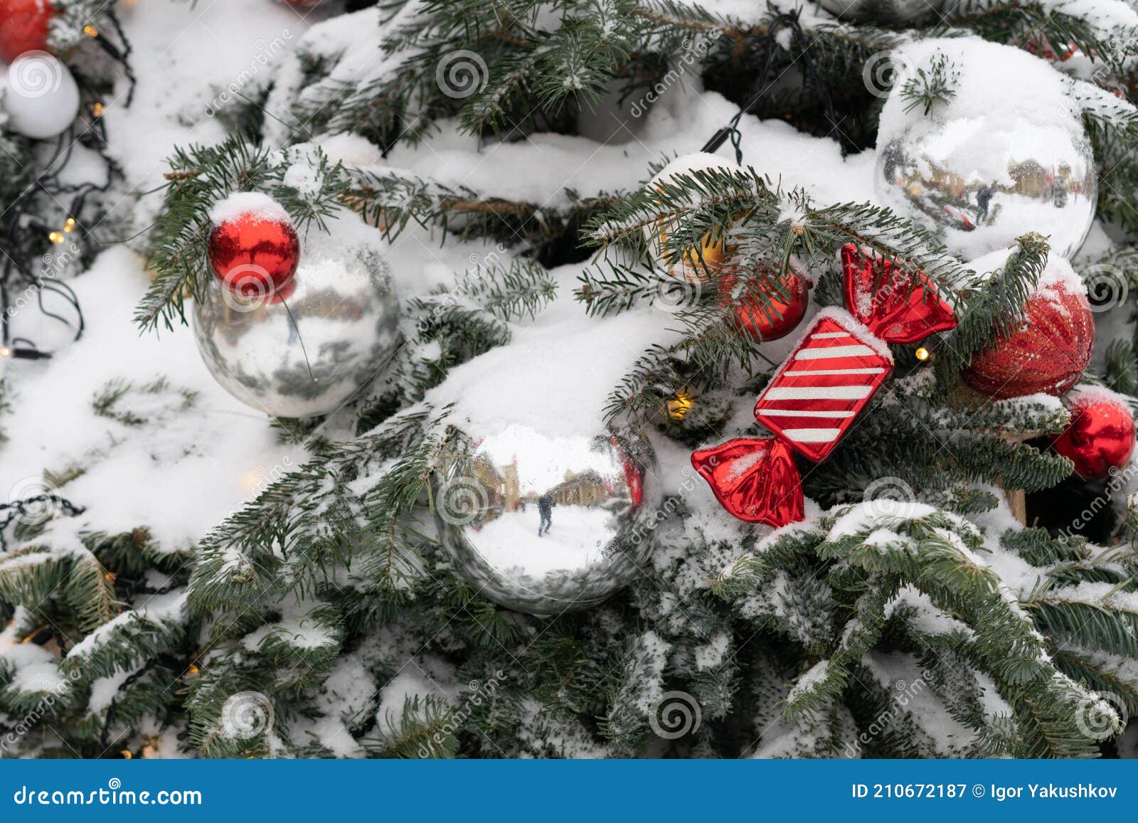 Green Tree Outside with Decorations Stock Image Image of december