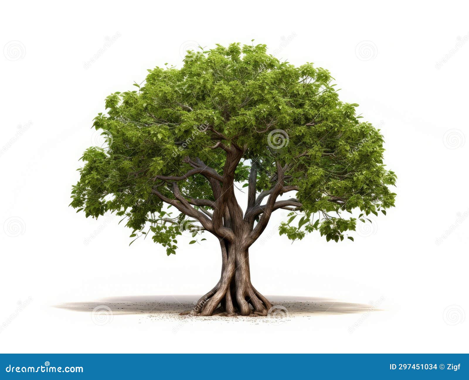 Green Tree on White Background Stock Illustration Illustration of