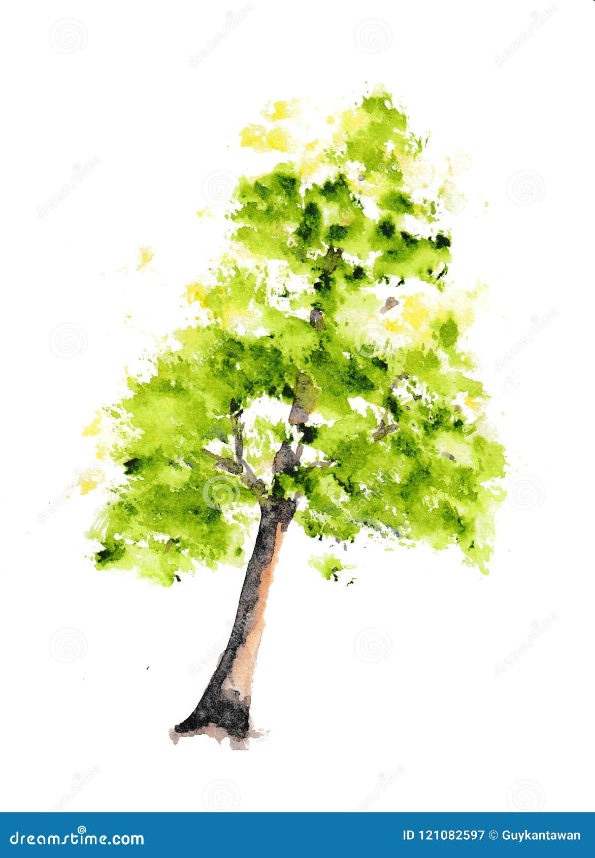 Green Tree On White Background, Watercolor Hand Painted Stock Illustration - Illustration Of Drawing, Paint: 121082597