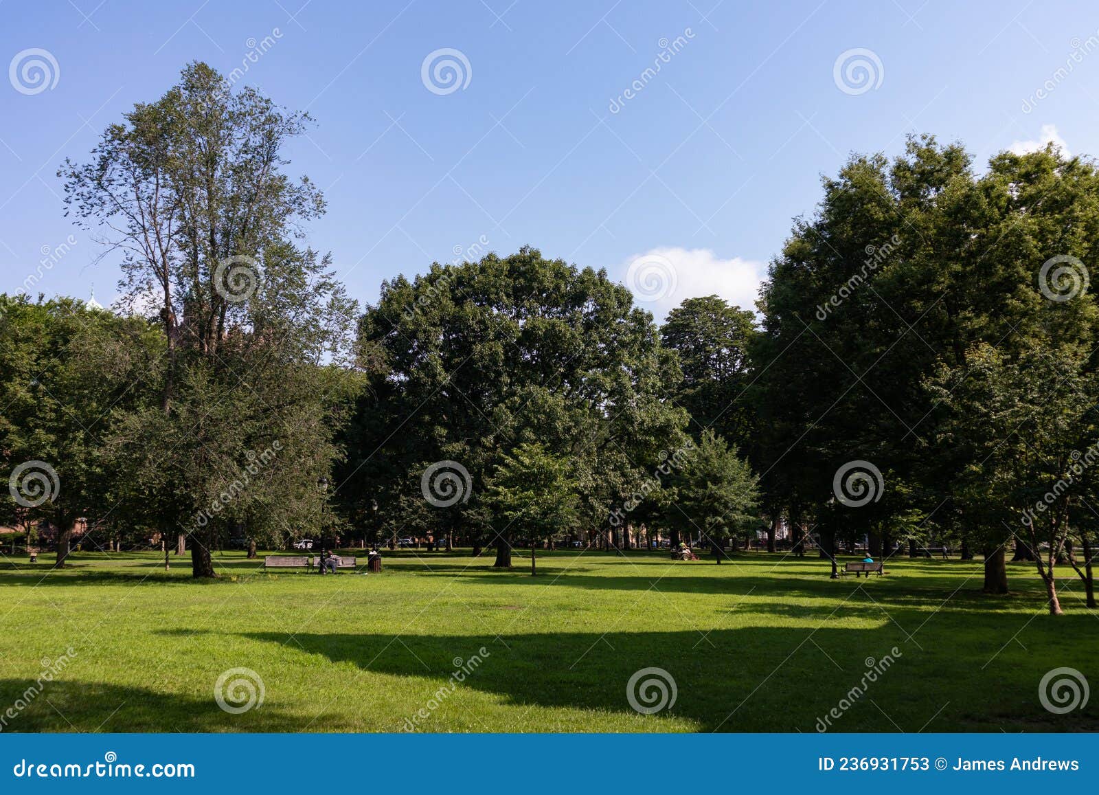 New Haven Green during the Summer in Downtown New Haven Connecticut