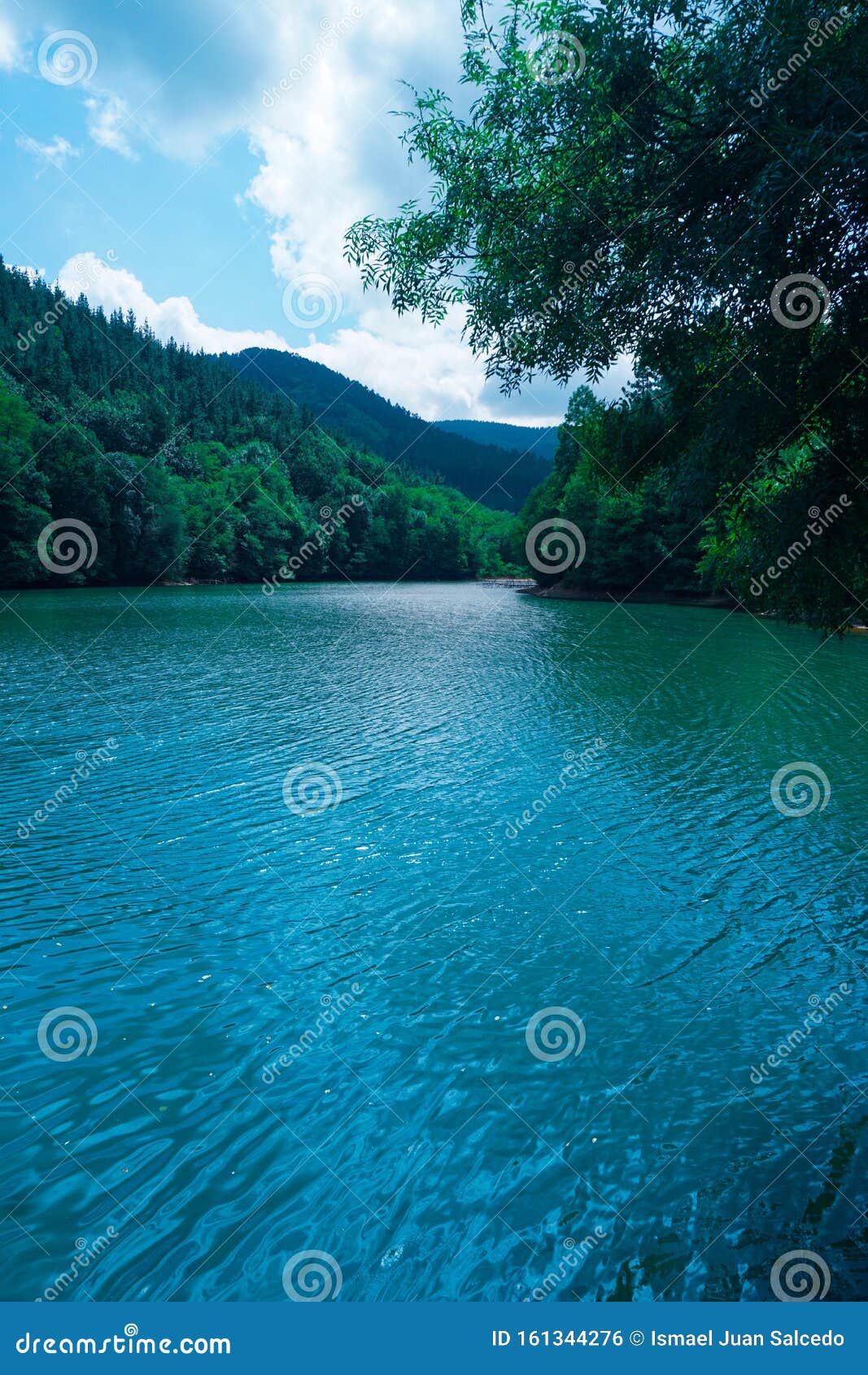 Green Trees In The Lake In The Nature In The Mountain Stock Photo - Image  of landscape, place: 161344276