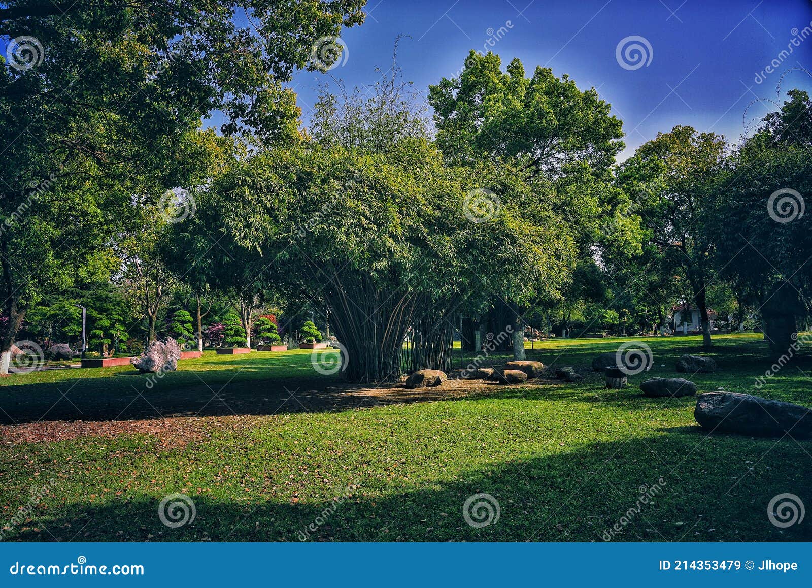 Green Trees and Lawns with Blue Sky Stock Image - Image of days, lawns ...