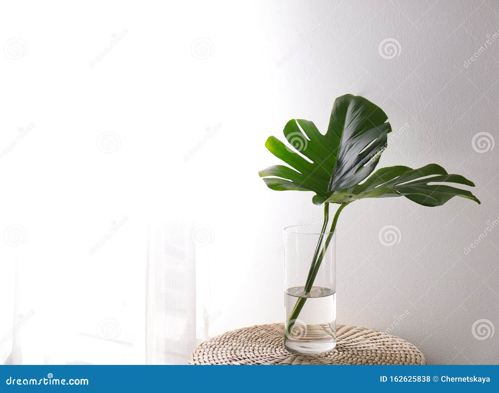 Green Tropical Leaves in Vase on Table. Modern Decor for Interior Stock