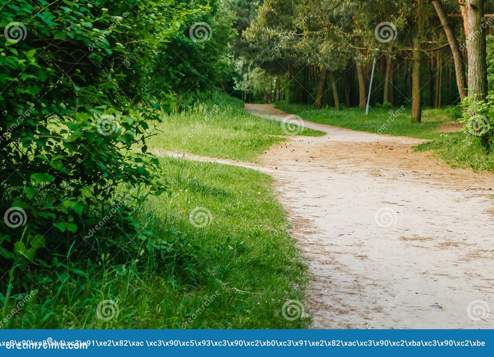 Green Tunnel Bamboos Real Nature, Green Background Stock Photo - Image of  bamboos, natural: 159518374