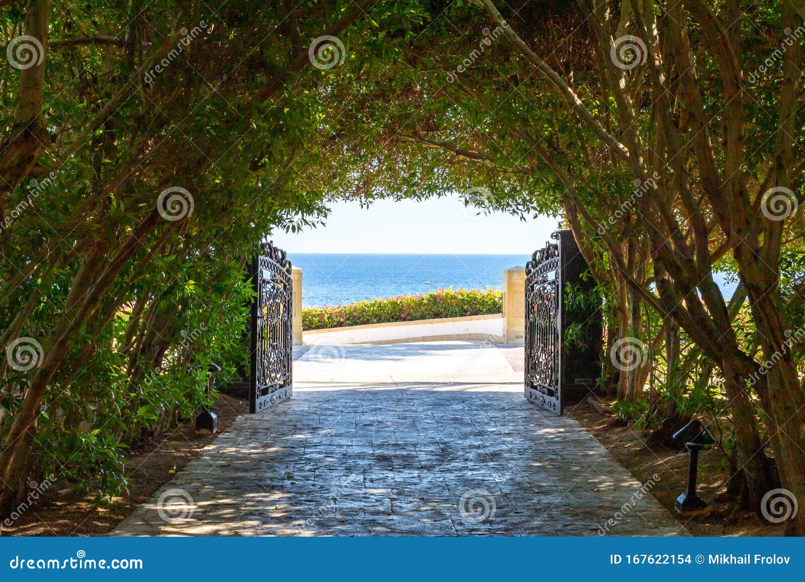 At The End Of The Hidden Greenery The Green Tunnel and the Light at the End of it. Lush Greenery Creating