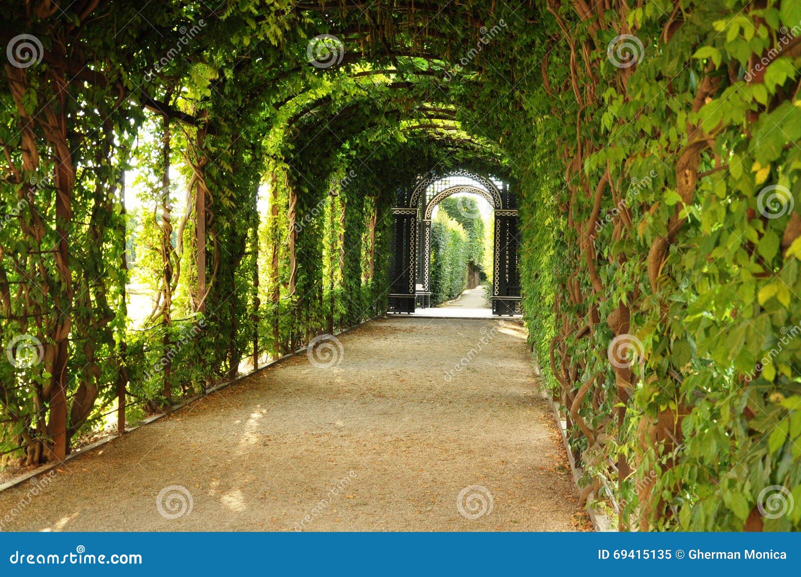 The green tunnel stock image. Image of schonbrunn, desktop 69415135
