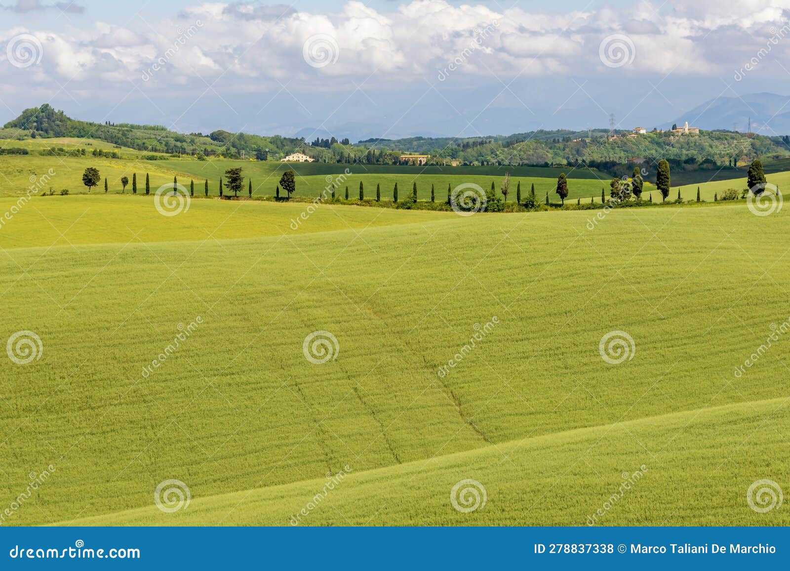 the green tuscan countryside in spring in orciano pisano, pisa, italy