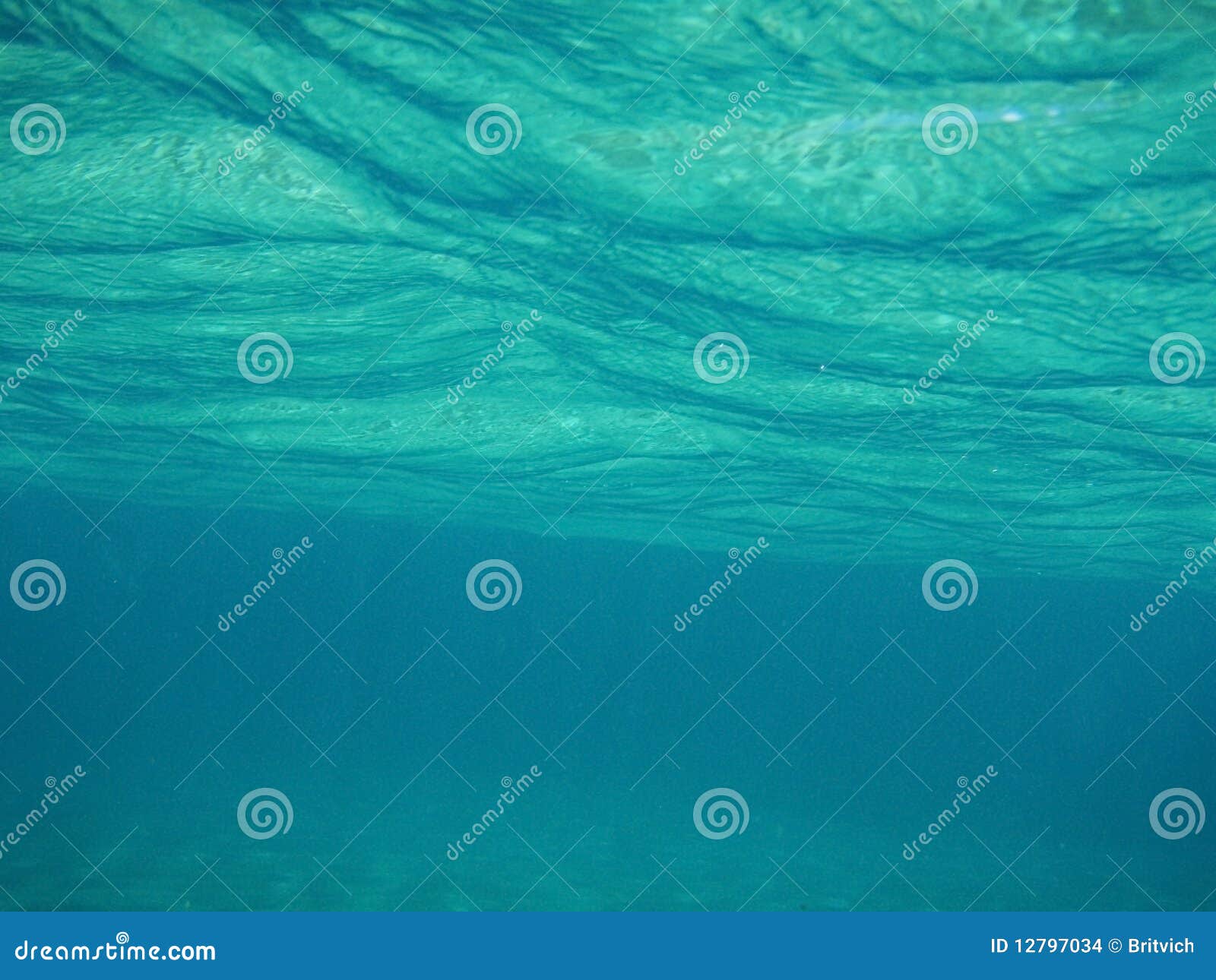 Green underwater stock photo. Image of seabed, bright 12797034