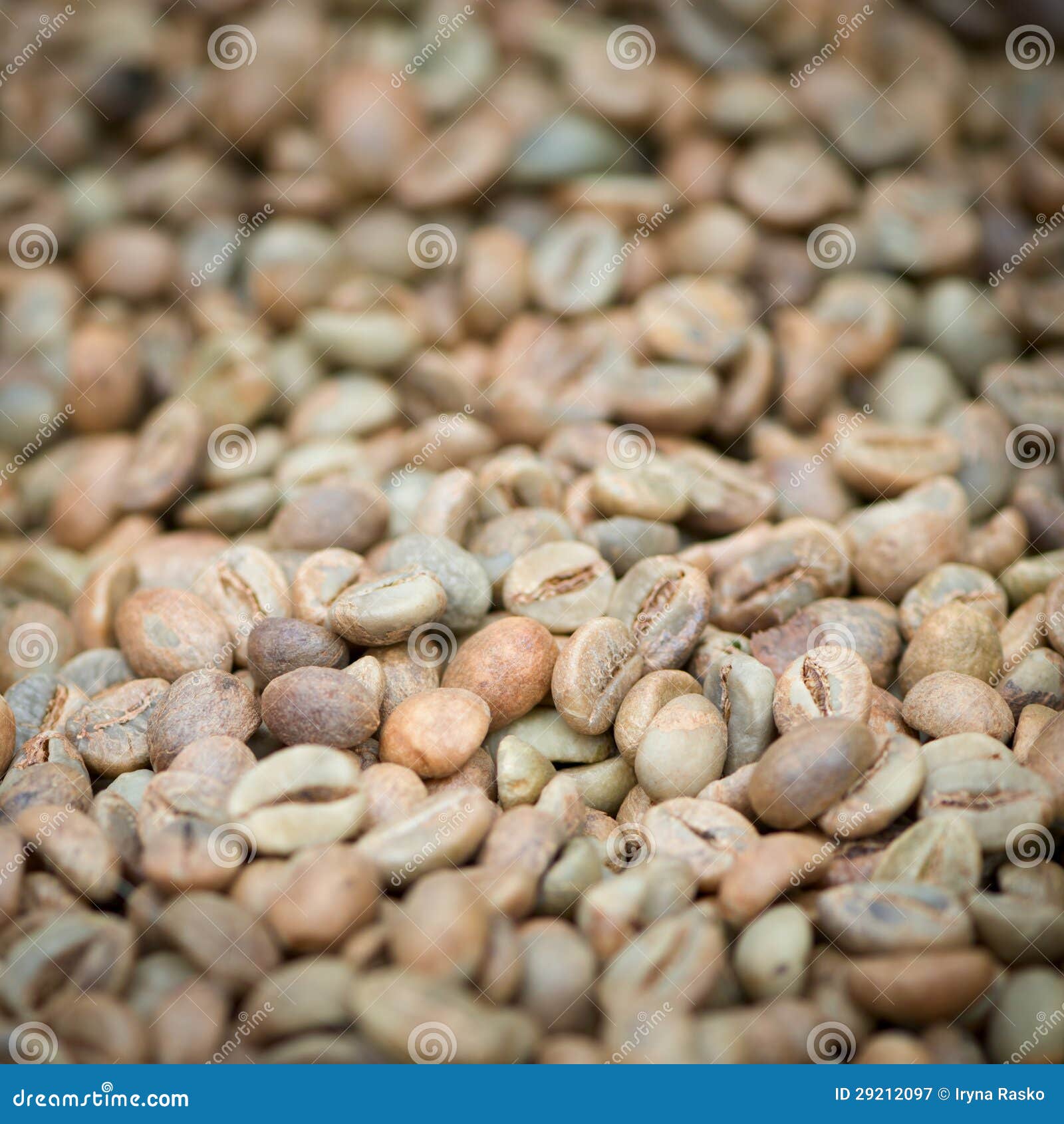 Green Unroasted Coffee Beans Stock Image Image of industry, arabic