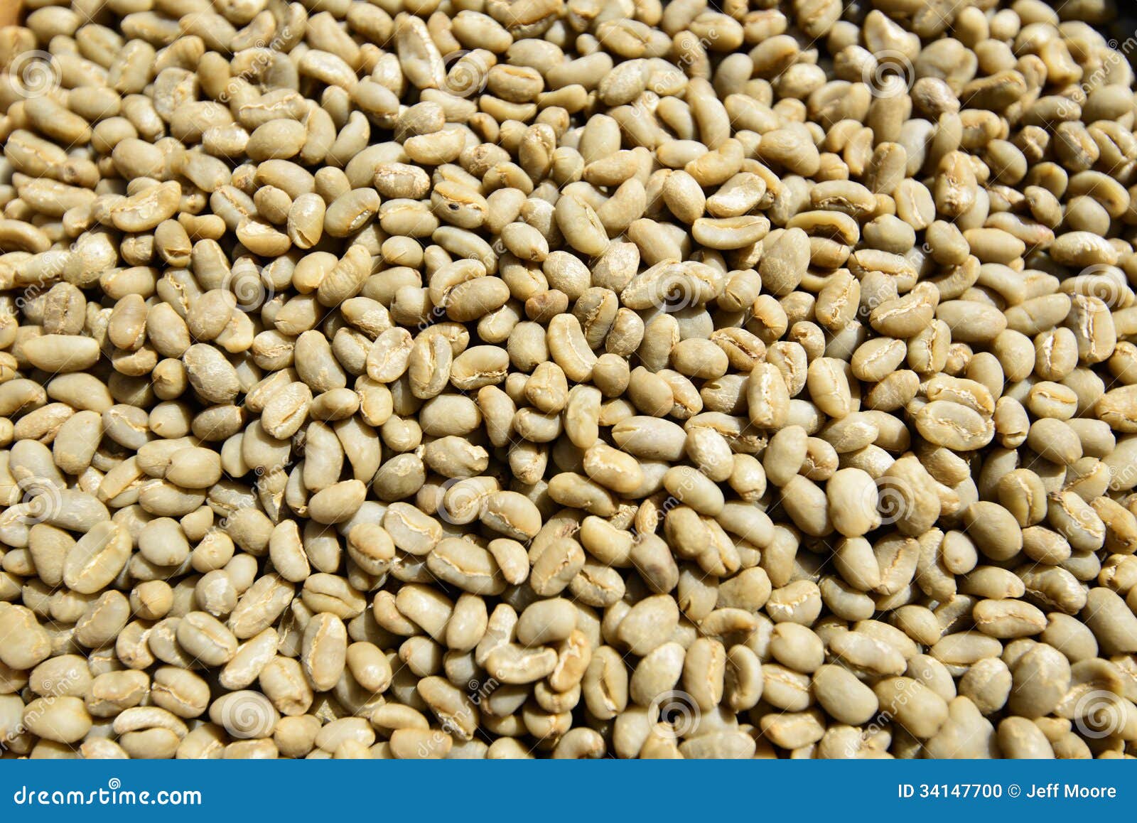 Green Unroasted Coffee Beans Stock Photo Image of green, yrga 34147700