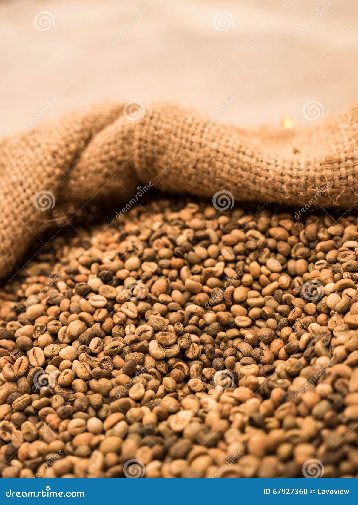 Green Unroasted Coffee Beans. Stock Photo Image of caffeine, drink
