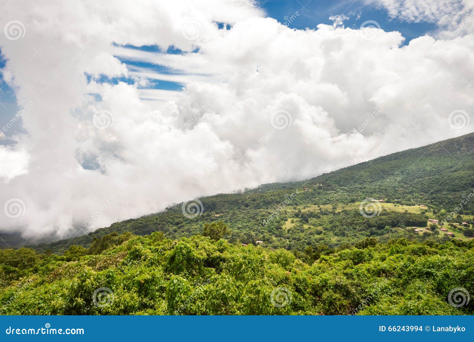 the green valley beneath the volcanoes, el salvador