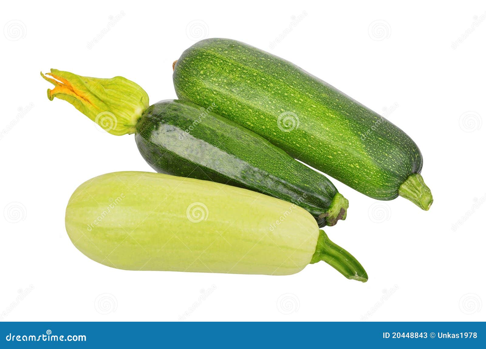 Green Vegetable Marrow (zucchini) Stock Image Image of abundance, healthy 20448843