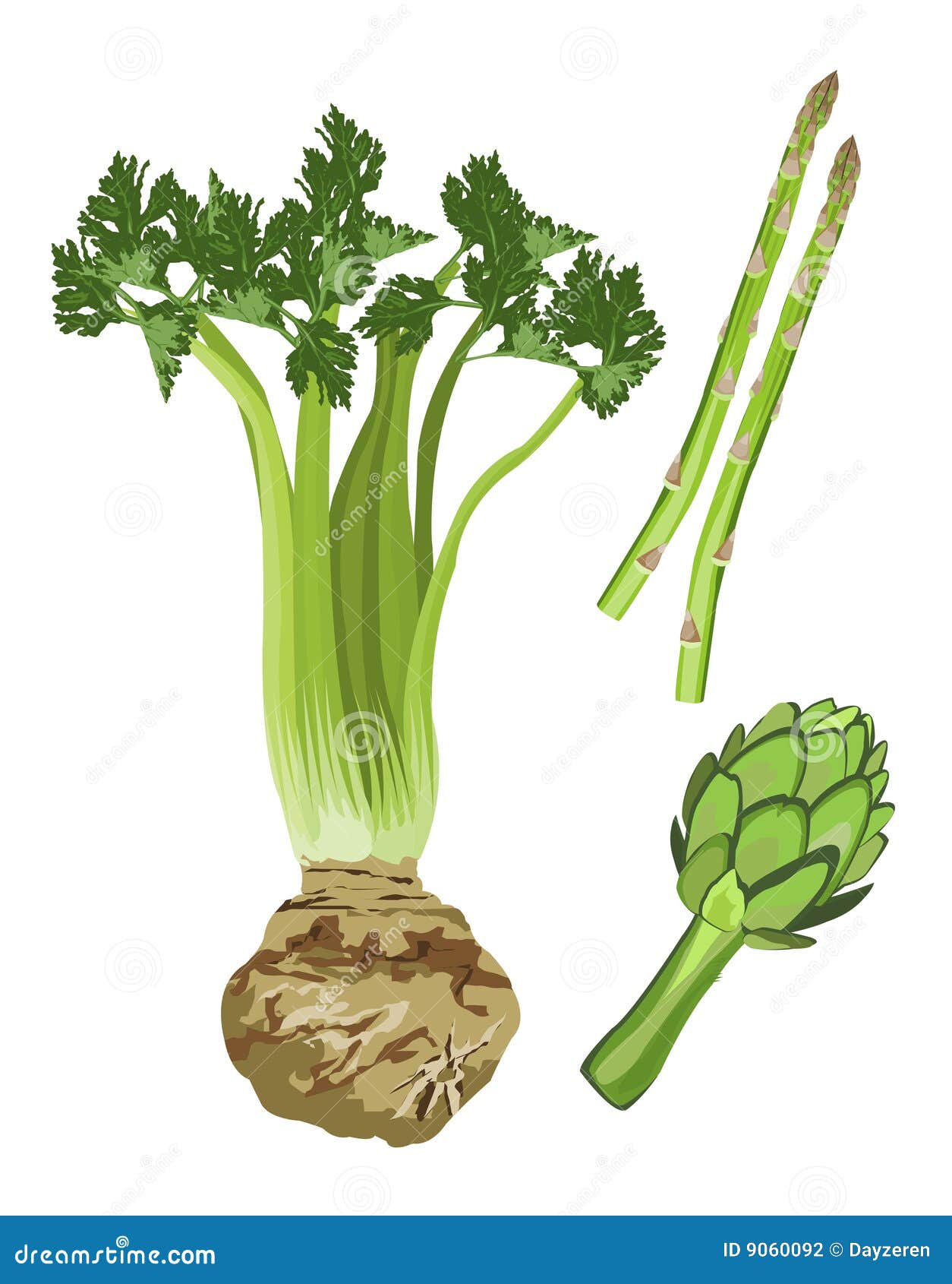 Green Vegetables stock vector. Illustration of culinary 9060092