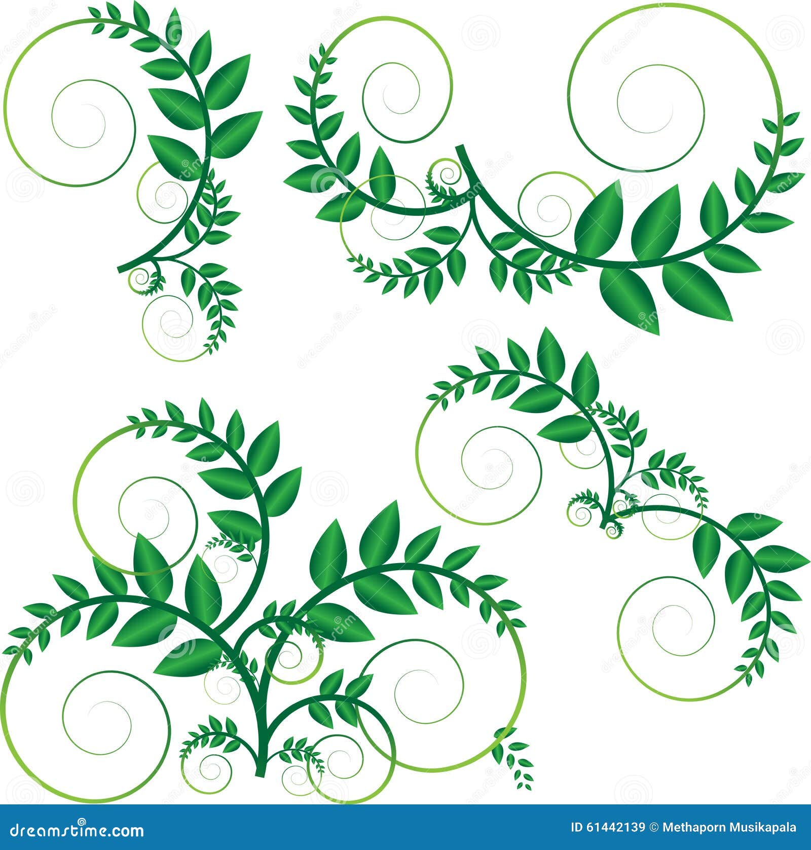 Green vine vector stock vector. Illustration of modern - 61442139
