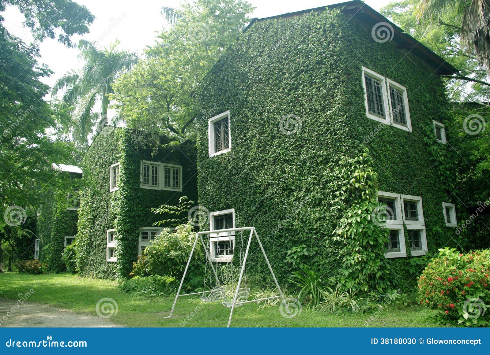 Green wall on building stock photo. Image of decoration 38180030