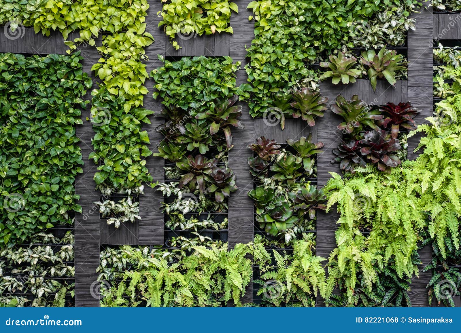 green wall, eco friendly vertical garden